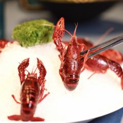 熙唐宴 User Photo