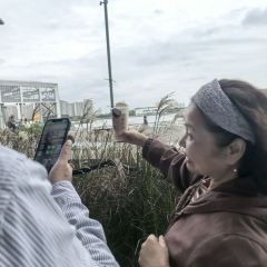 Grandma's Handmade Drinking·Treasures (Shanghai Xintiandi Branch) User Photo