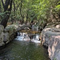 評論圖片 7