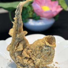 吾意濃張用戶圖片