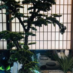 Nanxianliuminxiawei (youyilu) User Photo
