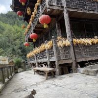 評論圖片 8