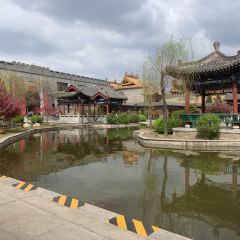 后土文院养元居 User Photo