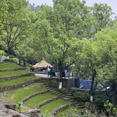 LUO XIN WEI User Photo