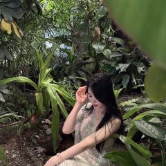 泰椰天香·江景六国料理 User Photo