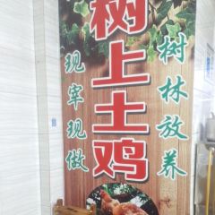 树上土鸡 User Photo