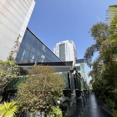 SILVERY BURNER User Photo