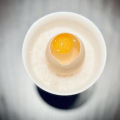 躍·Yue現代粵菜料理張用戶圖片