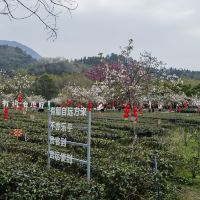 評論圖片 3