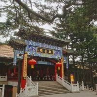 評論圖片 1