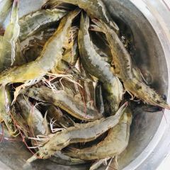 Tan men gang hai xian da pai dang User Photo