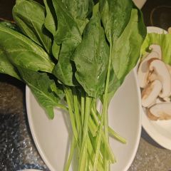 蒙都43°9羊火锅(平庄店) User Photo