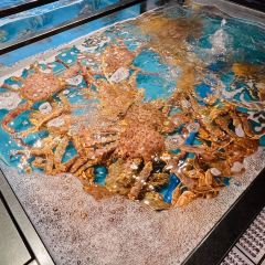 南海渔村(孔雀楼店) User Photo