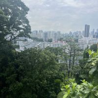 評論圖片 6