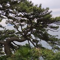 評論圖片 1