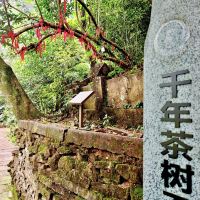 評論圖片 6