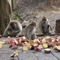 評論圖片 9