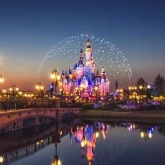 Bluefrog (Disney Town) User Photo