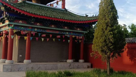 Chinese Pine King Tourist Area