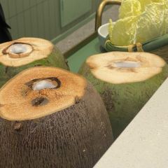 Chicken inside Coconut User Photo