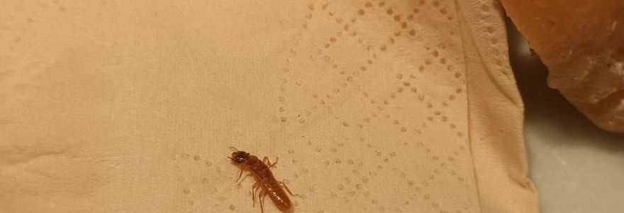 小爱桃花源复合式餐厅(怀集店)