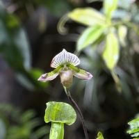 評論圖片 8
