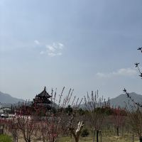 評論圖片 1