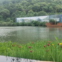杭州逍遥庄园·湘湖山房·云从全日餐厅 User Photo