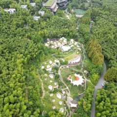 湖州野界森林度假酒店·野界.溶洞餐厅 User Photo
