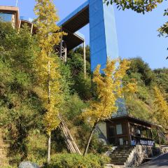 天镜池 User Photo