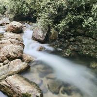 評論圖片 2