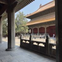評論圖片 8