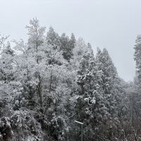 評論圖片 2