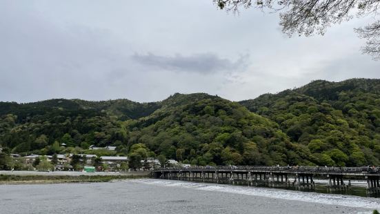 公园很大，在日本非常知名的景点，风景很好，一路上山，可以看到
