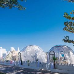 SEESEA Again User Photo