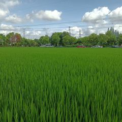 Barbossa’s Bounty User Photo