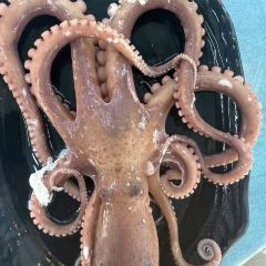 滨海渔莊 User Photo