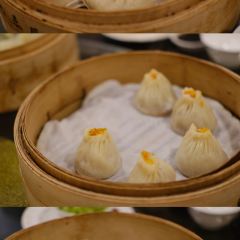 Lianglaifeng (wentingjie) User Photo