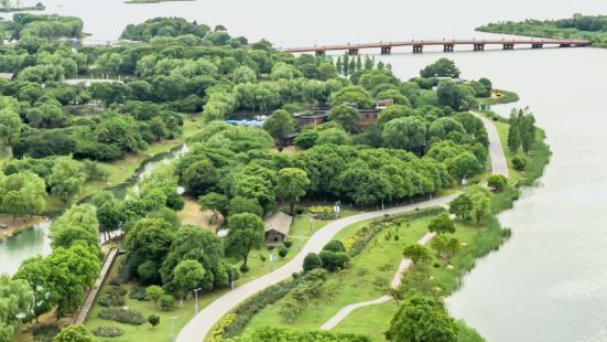 盛泽湖月季园位于相城区阳澄湖畔，占地面积约800亩，她是一座