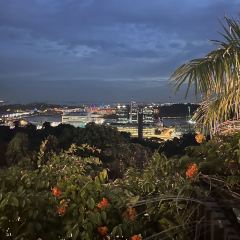 Dusk @ Mount Faber Peak User Photo