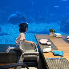 Aqua - Aquarium Restaurant User Photo