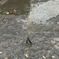 評論圖片 2