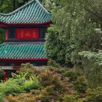 評論圖片 2