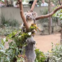 評論圖片 8
