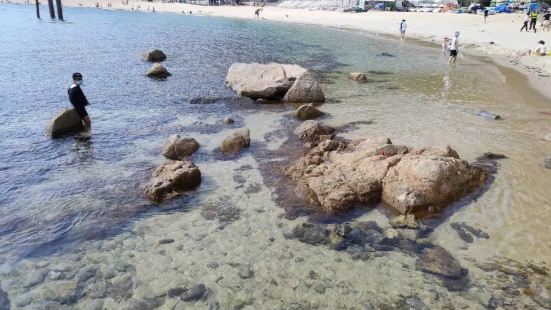 沙鱼涌静悄悄掩映在大鹏湾葵涌油码头以东500米一处山环水绕的