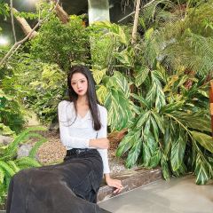 Mango tree芒果樹泰式餐廳（龍湖時代天街店）張用戶圖片