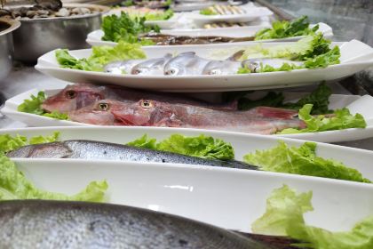 向阳屯海鲜烧烤