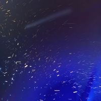 評論圖片 2