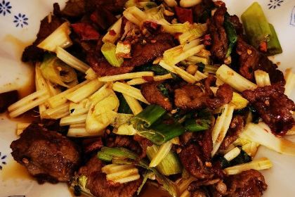 CHUAN ZHU SI NIAN YU ZHUANG ZONG DIAN