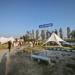 都乐稻田 User Photo